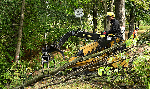 Brod se pustil do obnovy další části parku. Na kácení dřevin se veřejnost neshodne