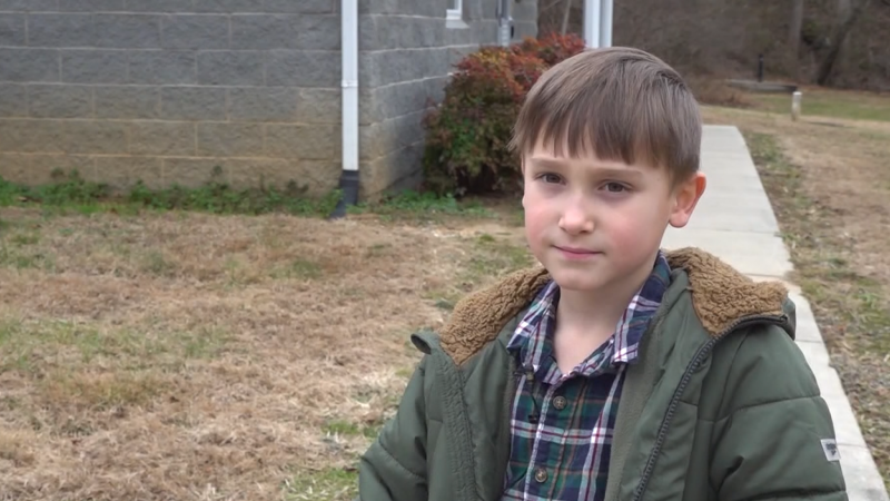 „Aby měla zvířátka také hezké Vánoce.“ Pětiletý kluk pomohl vybrat pro útulek desítky tisíc