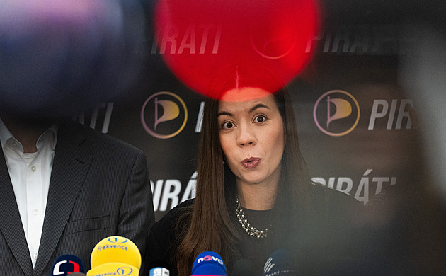 Kvůli zákonu o státních zaměstnancích se chce opozice obrátit na Ústavní soud