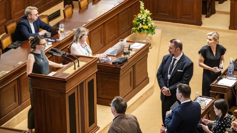 Bouřlivé interpelace: Co si to sakra dovolujete? Pirátku vytočil Metnar, osočil ji ze lži