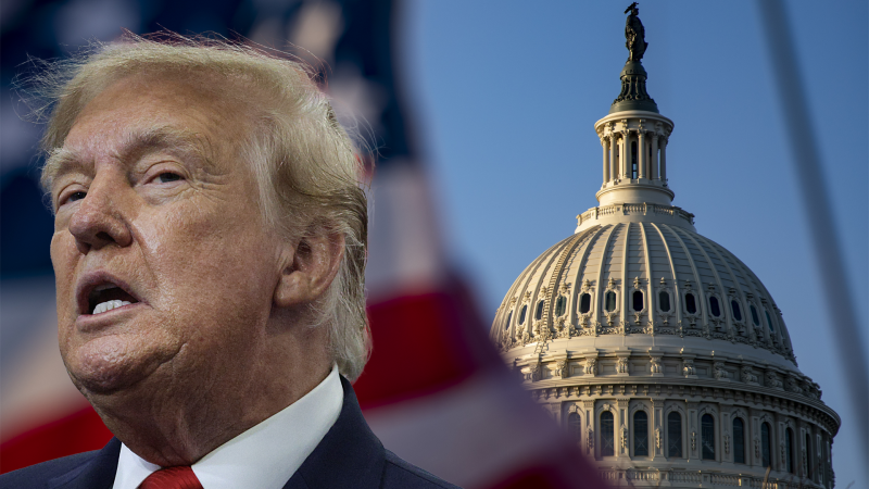 Volby v USA PŘEHLEDNĚ: Jak a kam se volí a co je v sázce pro Trumpa?